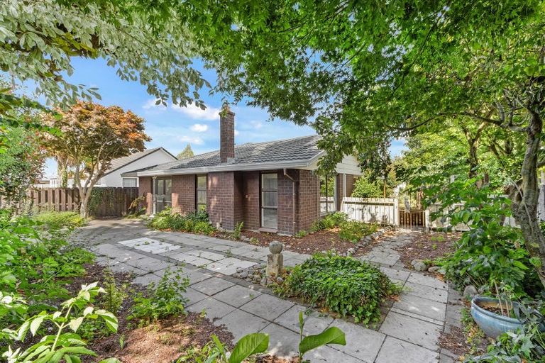 Photo of property in 142 White Street, Rangiora, 7400