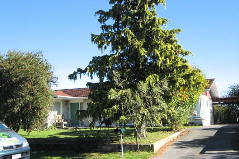 Photo of property in 6 Rakau Street, Havelock North, 4130