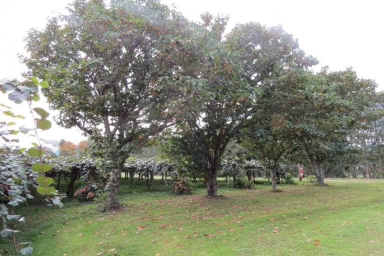 Photo of property in 28 Lindemann Road, Katikati, 3170
