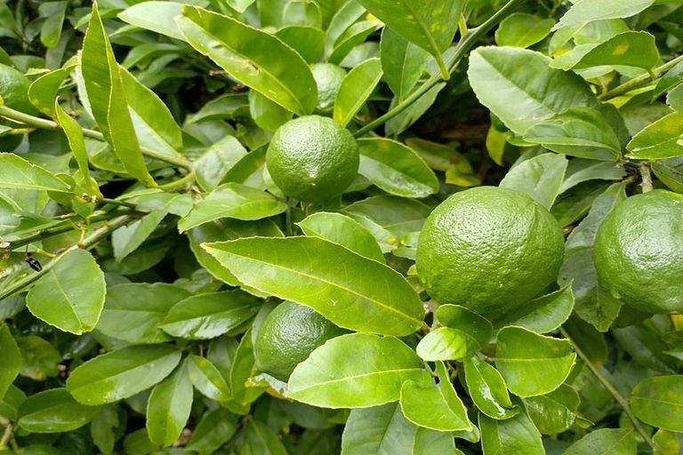 Photo of property in 13 Tawhai Street, Stokes Valley, Lower Hutt, 5019