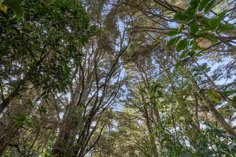 Photo of property in 454 Ngunguru Road, Glenbervie, Whangarei, 0173