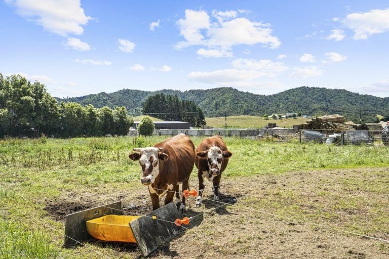 Photo of property in 11 Jew Road, Ngaruawahia, Taupiri, 3791