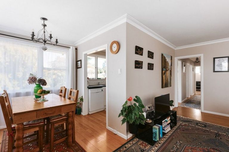 Photo of property in 9 Clifton Terrace, Brookfield, Tauranga, 3110