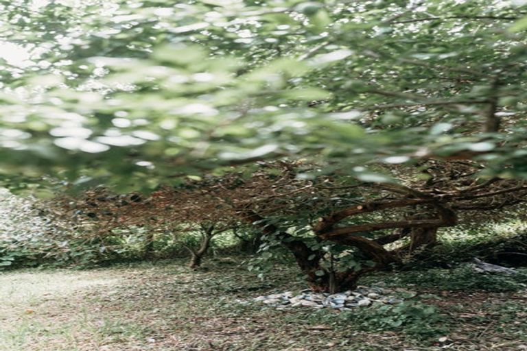 Photo of property in 12 Williams Crescent, Maketu, Te Puke, 3189