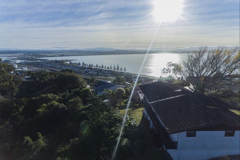 Photo of property in 131 Thompson Road, Bluff Hill, Napier, 4110