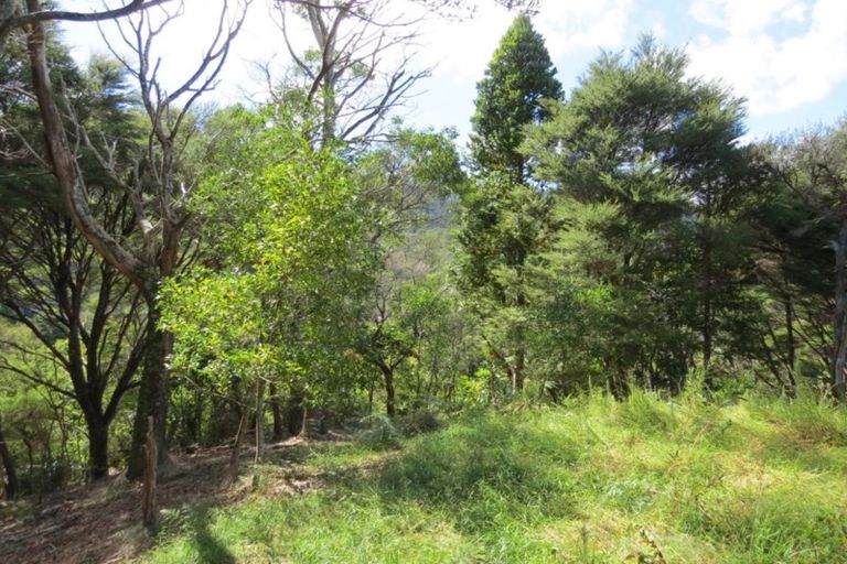 Photo of property in 395a Driving Creek Road, Coromandel, 3506