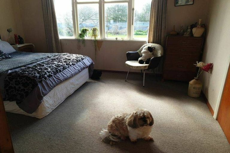 Photo of property in 9 Grant Street, Woodville, 4920