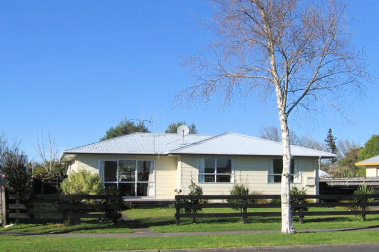 Photo of property in 31 Puriri Street, Nawton, Hamilton, 3200