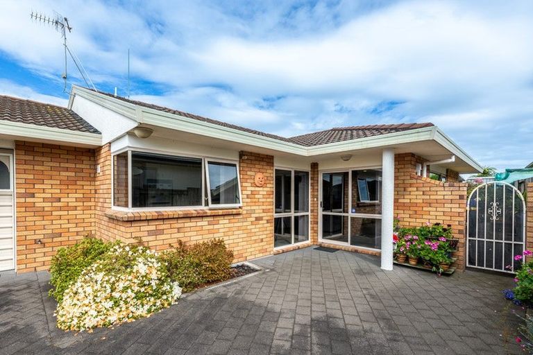 Photo of property in 64 Plateau Heights, Mount Maunganui, 3116