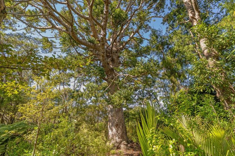 Photo of property in 871b Tiki Quarry Road, Preece Point, Coromandel, 3581