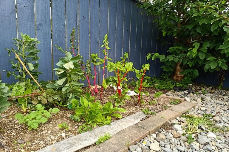 Photo of property in 7 Morpeth Street, Johnsonville, Wellington, 6037