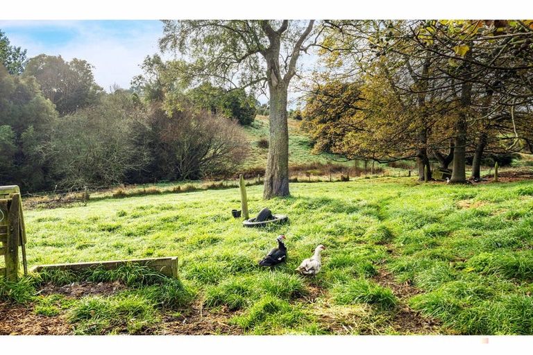 Photo of property in 80 Pye Road, Geraldine Downs, Geraldine, 7991