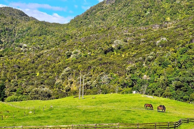 Photo of property in 281 Waiotemarama Gorge Road, Opononi, Kaikohe, 0473