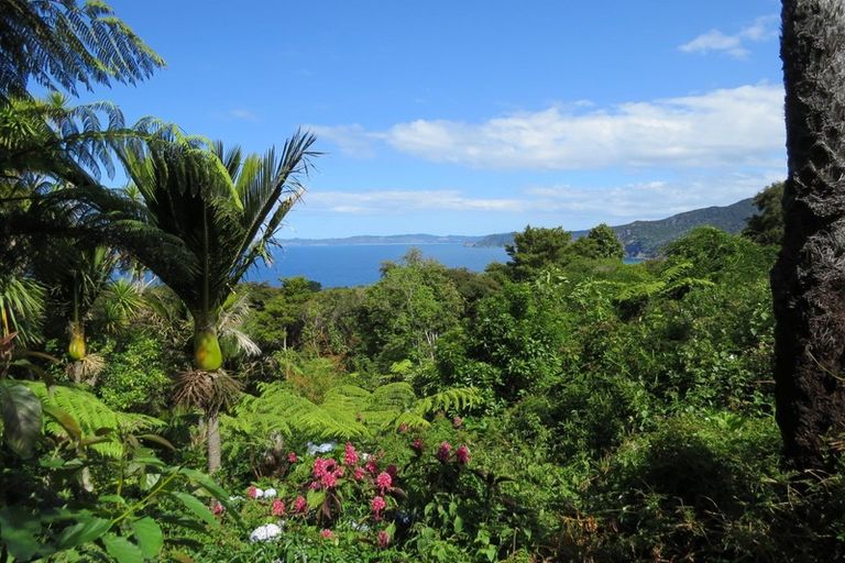 Photo of property in 496 Tuateawa Road, Tuateawa, Coromandel, 3583