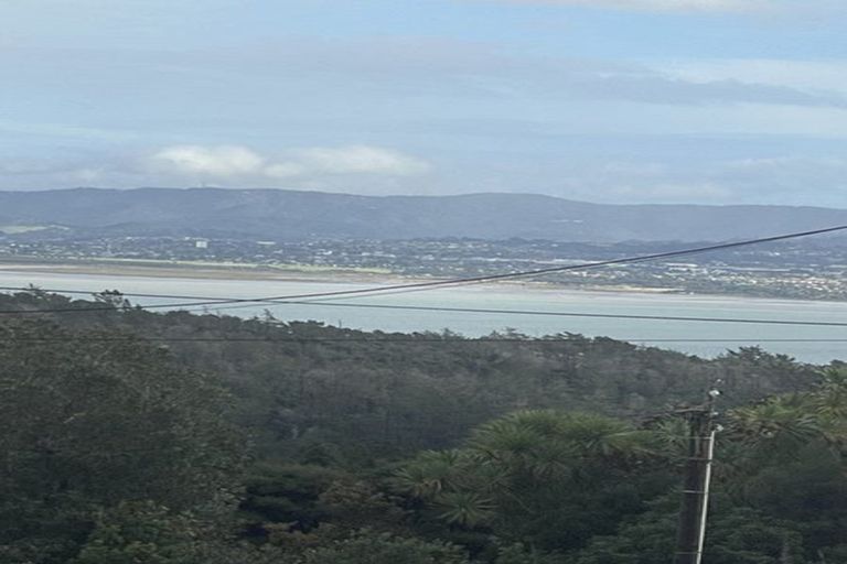 Photo of property in 38 Waipa Street, Birkenhead, Auckland, 0626