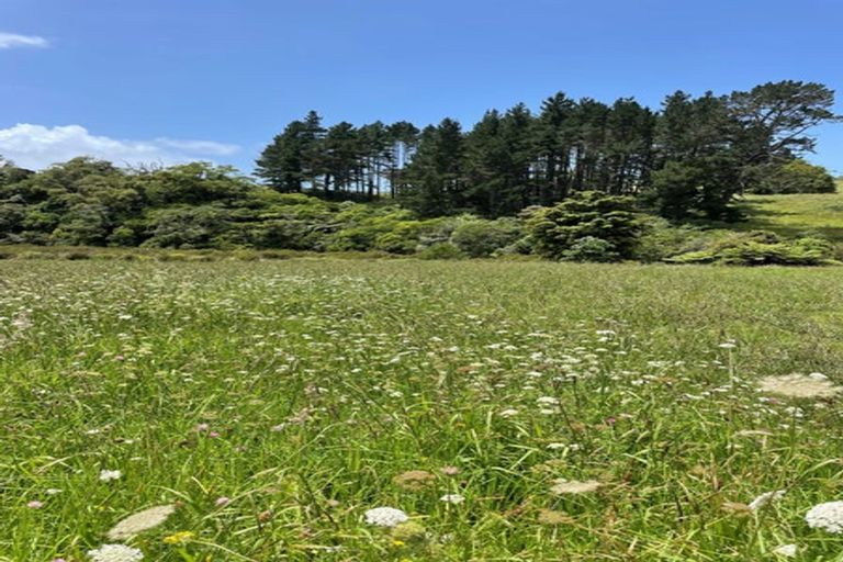 Photo of property in 10 Woodlanding Road, Whitford, 2571