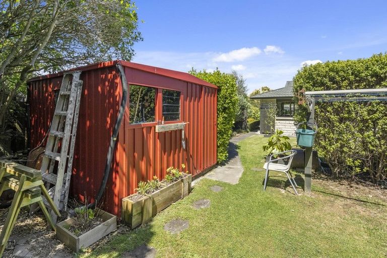 Photo of property in 55 Belvedere Avenue, Waikanae, 5036