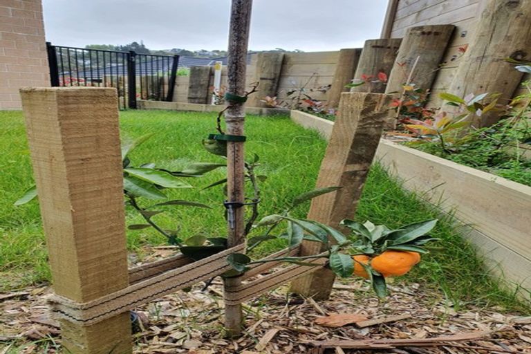 Photo of property in 10 Grapnel Lane, Whitby, Porirua, 5024