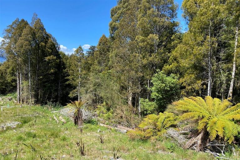 Photo of property in 90 Beechwater Drive, Arnold Valley, 7872