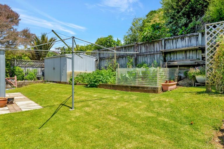 Photo of property in 38 Roto Street, Hurdon, New Plymouth, 4310