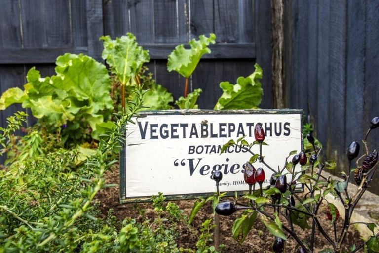 Photo of property in 2 Tilby Drive, Matua, Tauranga, 3110