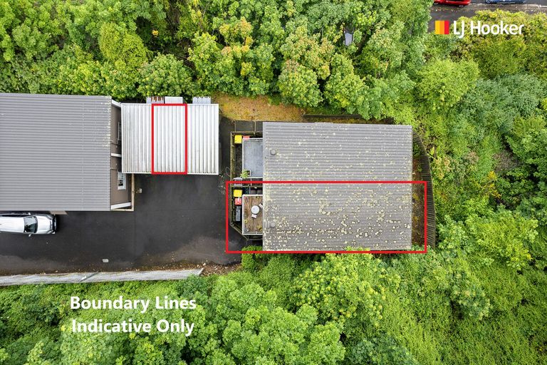 Photo of property in 66b Maclaggan Street, Dunedin Central, Dunedin, 9016