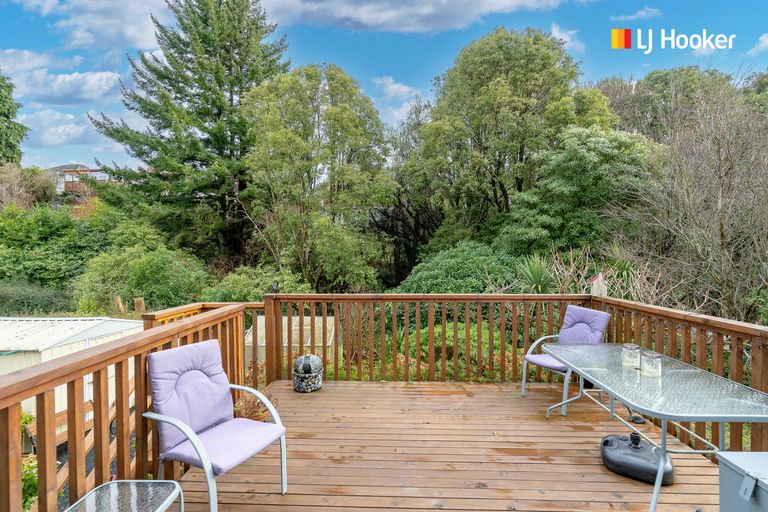 Photo of property in 19 Strathearn Avenue, Wakari, Dunedin, 9010