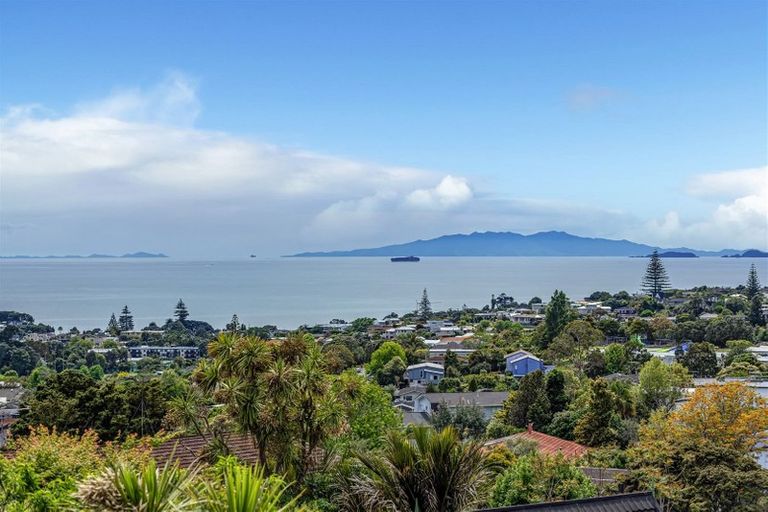 Photo of property in 1 Elizabeth Place, Mairangi Bay, Auckland, 0630