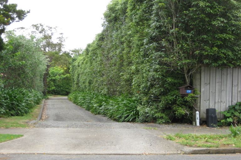 Photo of property in 232 Victoria Street West, Pukekohe, 2120