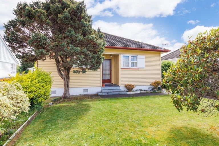 Photo of property in 59 Manson Street, Terrace End, Palmerston North, 4410