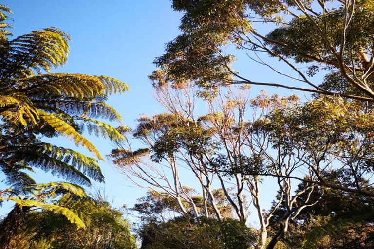 Photo of property in 9 Pakawau-bush Road, Pakawau, Collingwood, 7073