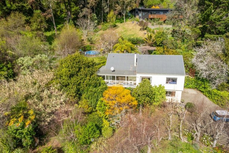 Photo of property in 37 Brunner Street, Nelson South, Nelson, 7010