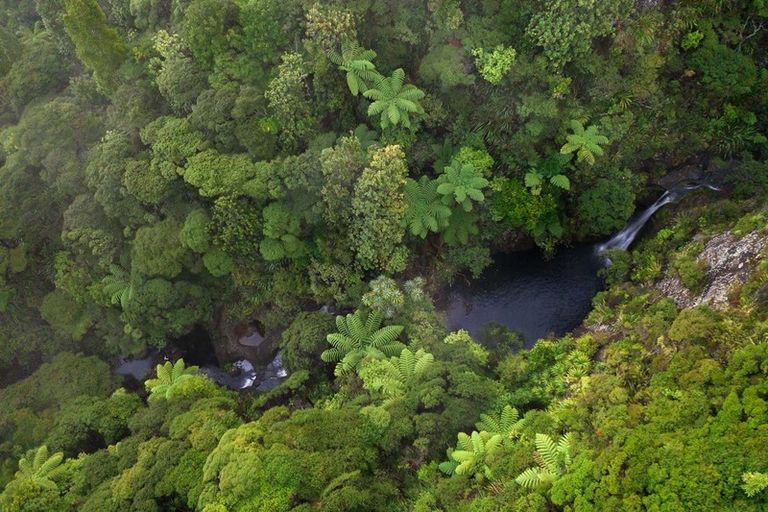 Photo of property in 122 Lone Kauri Road, Karekare, New Lynn, 0772