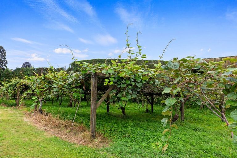 Photo of property in 122 No 2 Road, Te Puke, 3182