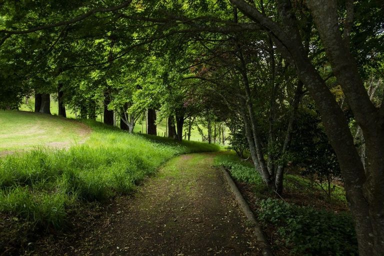 Photo of property in 102 Ormond Valley Road, Ormond, Gisborne, 4071