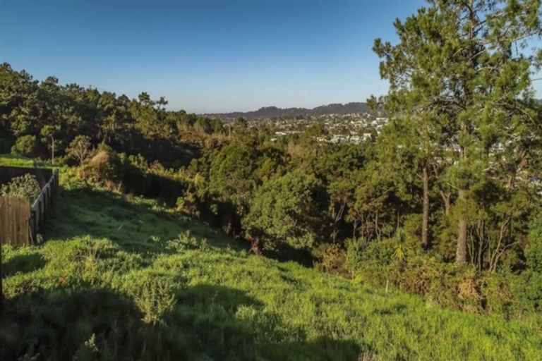 Photo of property in 103 Rangeview Road, Sunnyvale, Auckland, 0612