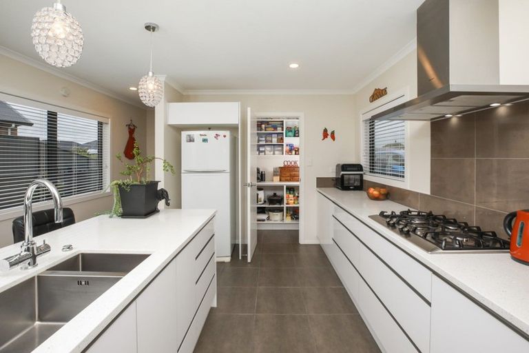 Photo of property in 41 Stan Heather Drive, Glenview, Hamilton, 3206