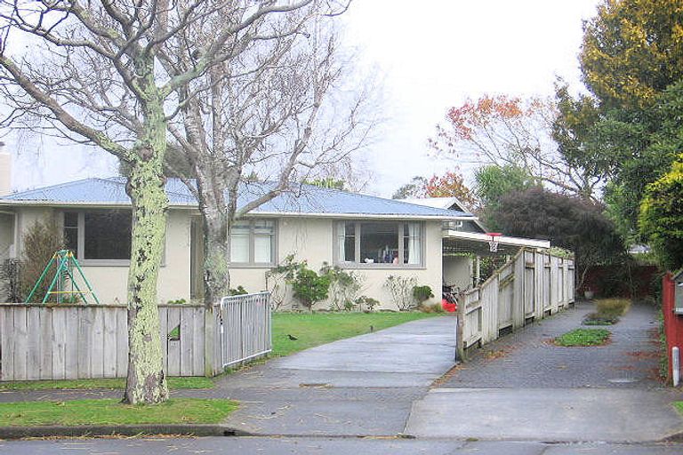 Photo of property in 28a Snowdon Avenue, Terrace End, Palmerston North, 4410
