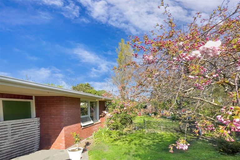 Photo of property in 228a Opawa Road, Hillsborough, Christchurch, 8022
