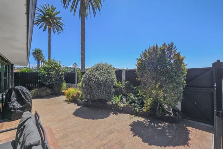 Photo of property in 57a Mcdonald Street, Napier South, Napier, 4110