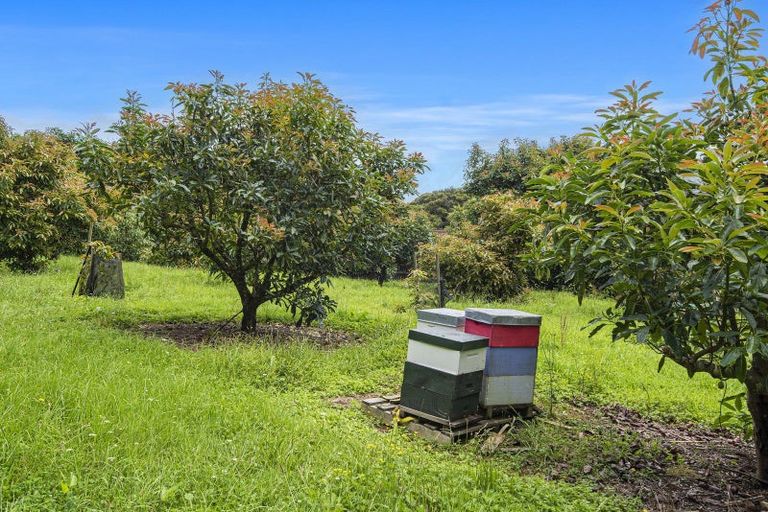 Photo of property in 161 Newton Road, Maungatapere, Whangarei, 0170