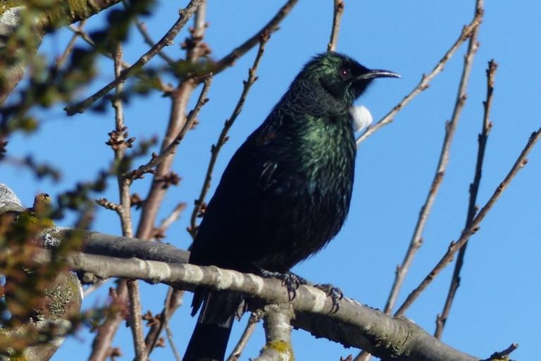 Photo of property in 27 Princes Street, Waimate, 7924