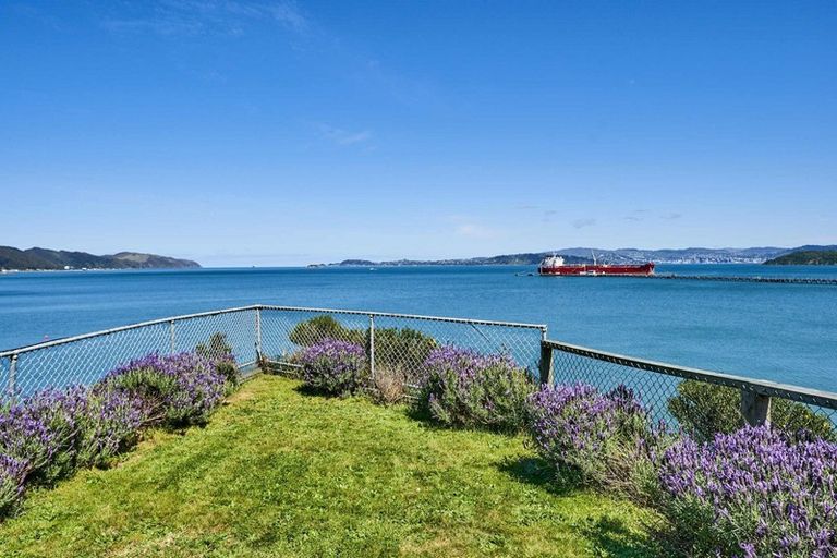 Photo of property in 121 Marine Drive, Sorrento Bay, Lower Hutt, 5013