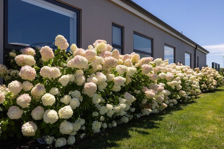 Photo of property in 567a Minden Road, Minden, Tauranga, 3176