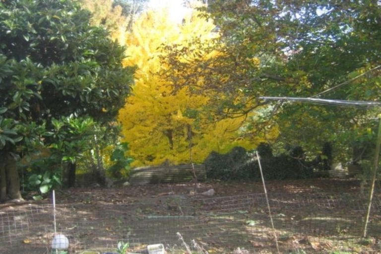 Photo of property in 50 Overdale Street, Putaruru, 3411