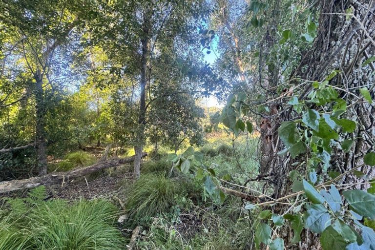 Photo of property in 70 Te Whanga Road, Levin, 5572