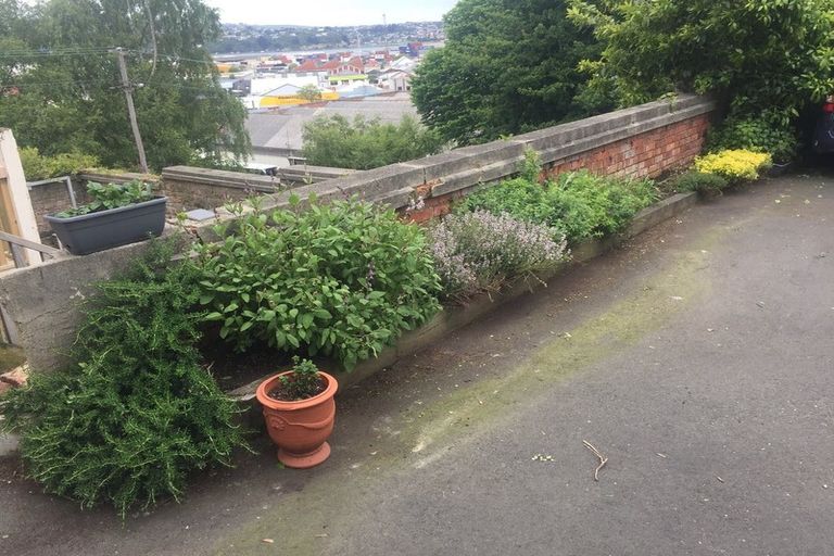 Photo of property in 53 Manor Place, Dunedin Central, Dunedin, 9016