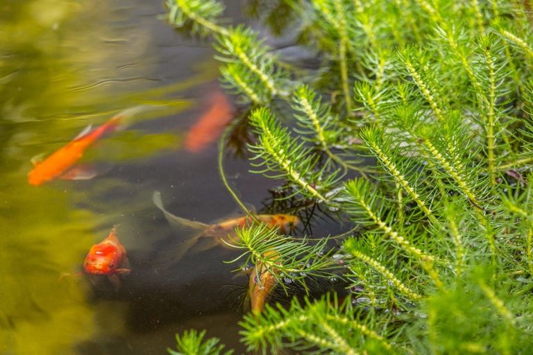 Photo of property in 178 Opito Bay Road, Kerikeri, 0294