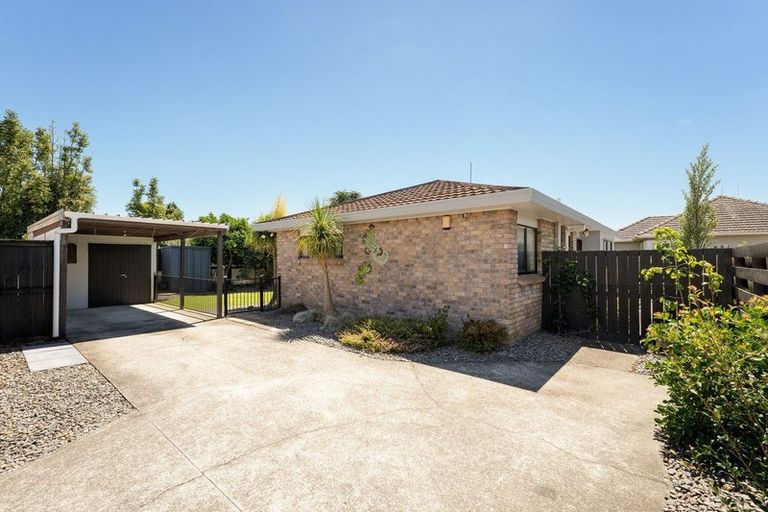 Photo of property in 101a Chadwick Road, Greerton, Tauranga, 3112