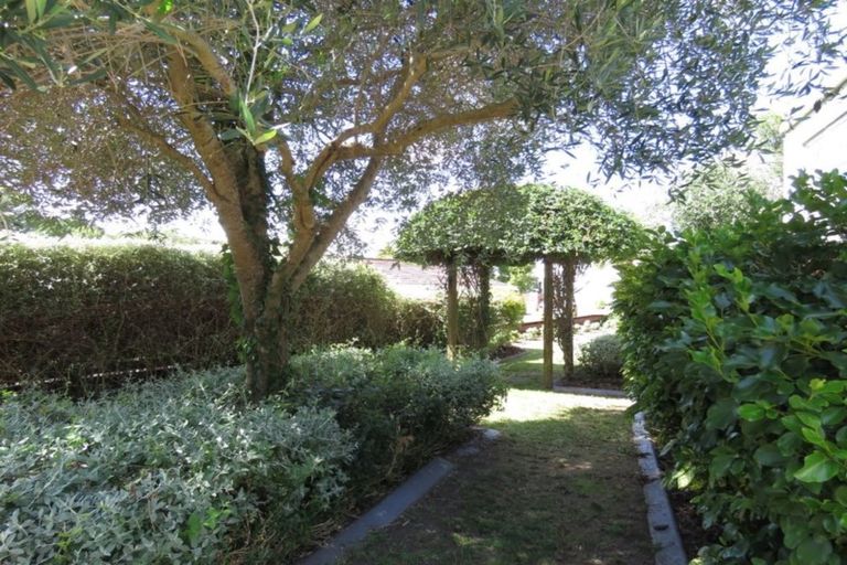 Photo of property in 64 Wallace Terrace, Te Awamutu, 3800